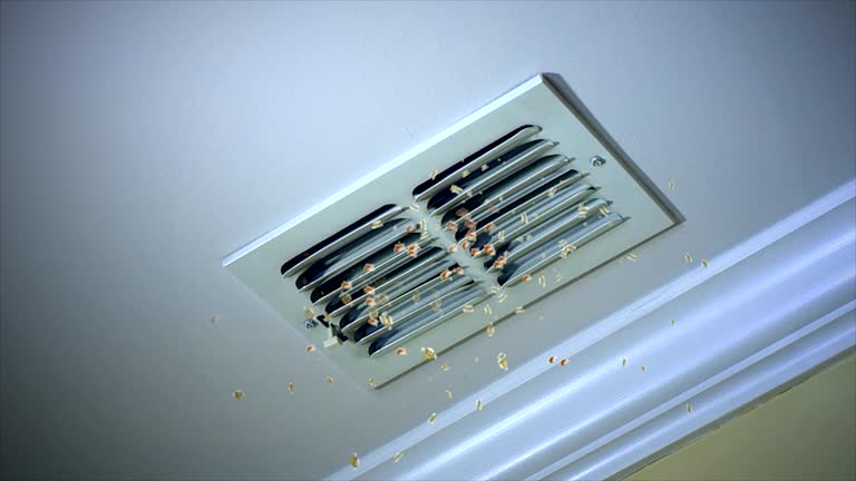 Best Air Vent Cleaning Services  in Monticello, KY