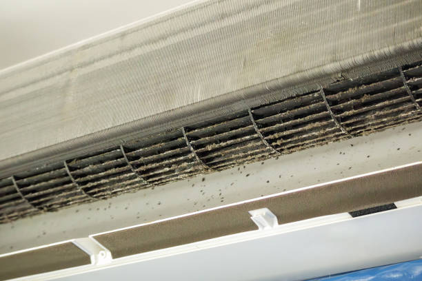 Best HVAC System Cleaning  in Monticello, KY